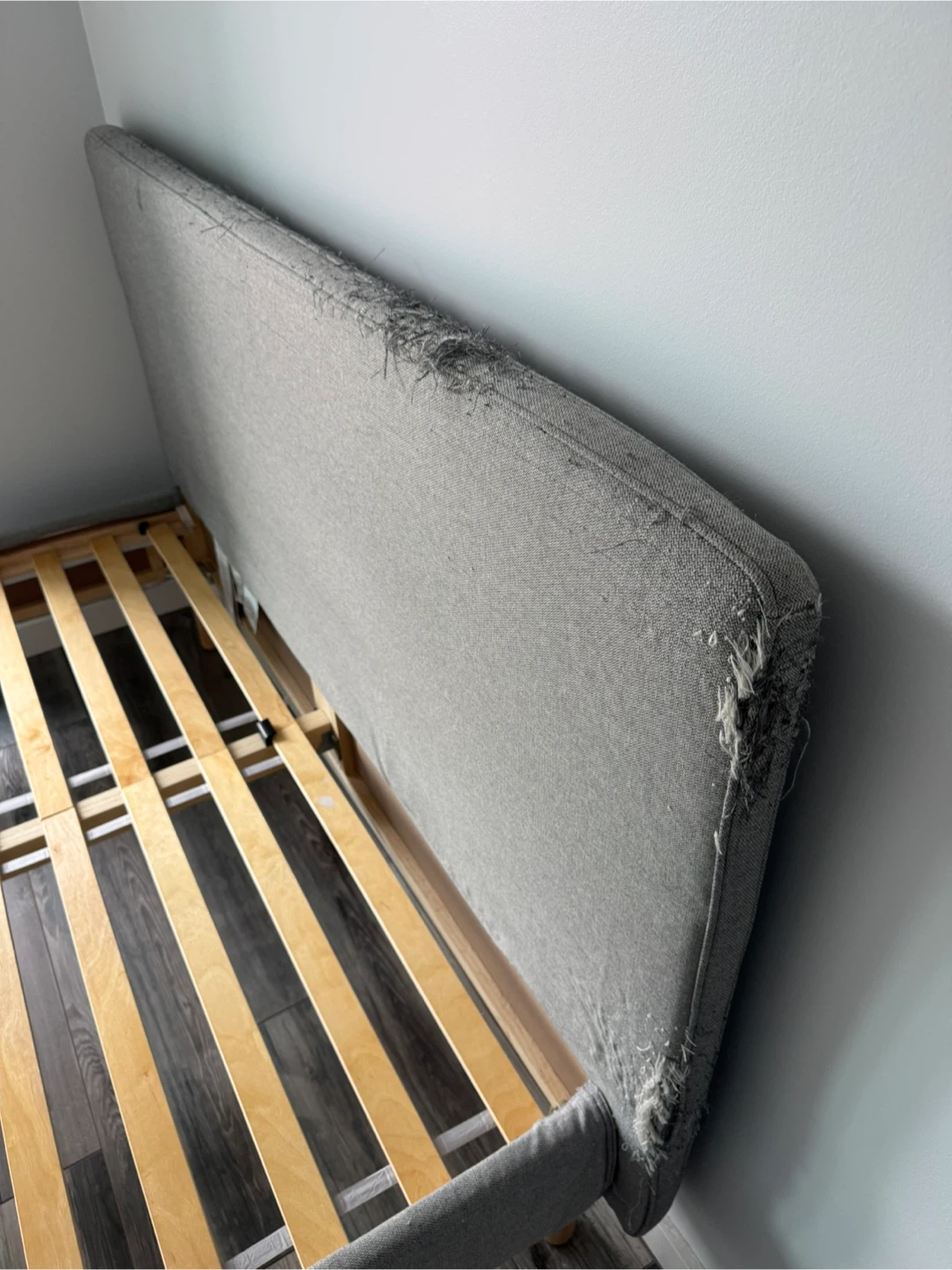 Free Ikea Queen Bed Frame (sorry my cat scratched it) - photo 3