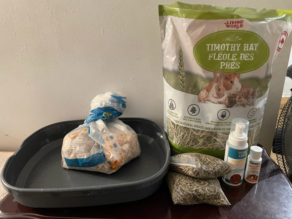 Guinea Pig Supplies Lot