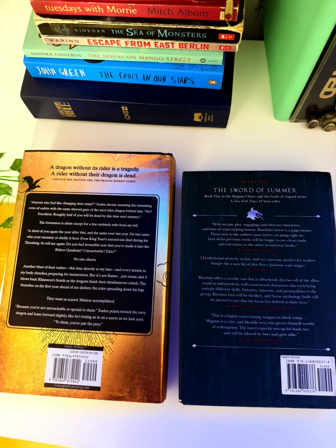 Fourth Wing and Hammer of Thor Books - photo 2