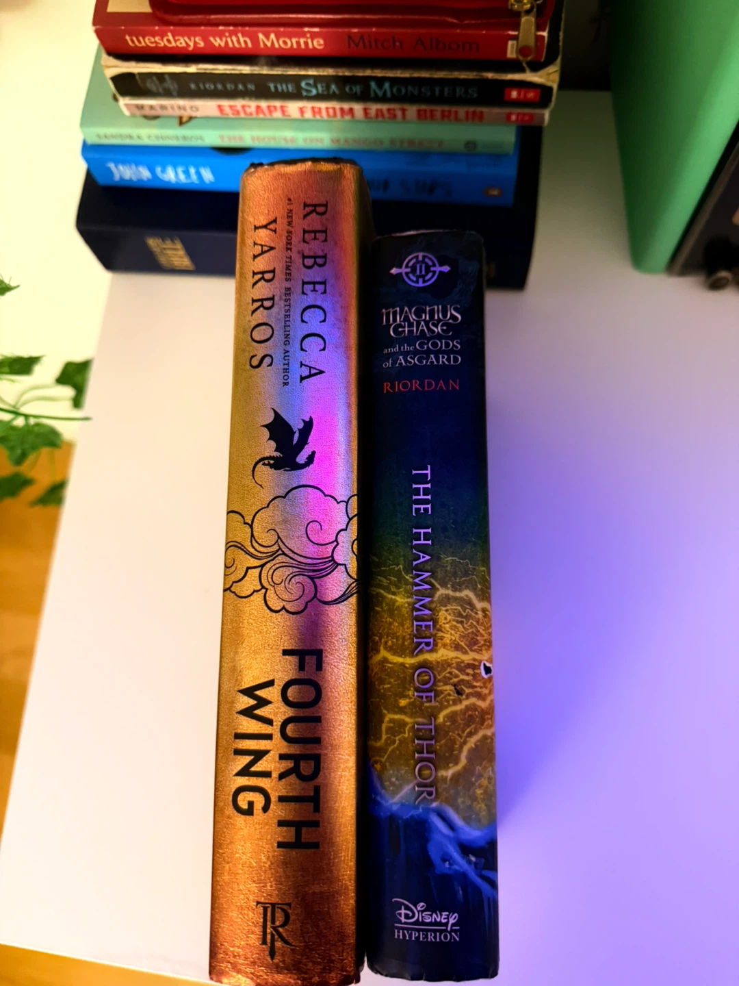 Fourth Wing and Hammer of Thor Books - photo 3