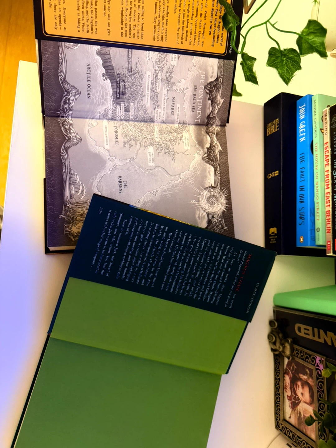 Fourth Wing and Hammer of Thor Books - photo 4