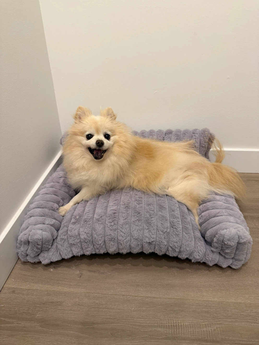 🐱 BOGO FREE!!!Cat Beds $20 — FREE Foldable Mat or Sleeping Bag! - photo 2