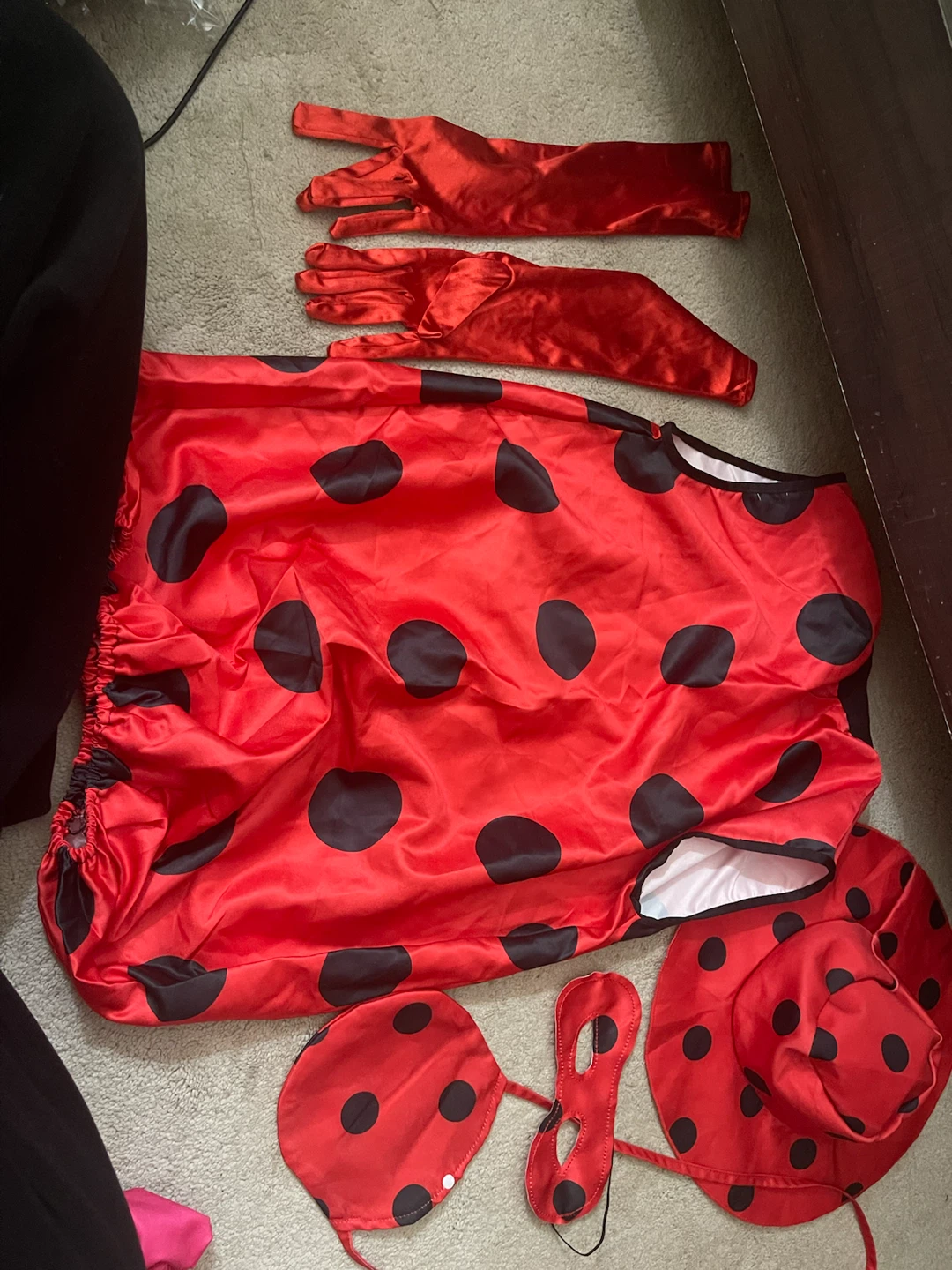 Assorted Halloween Costumes and Outfits