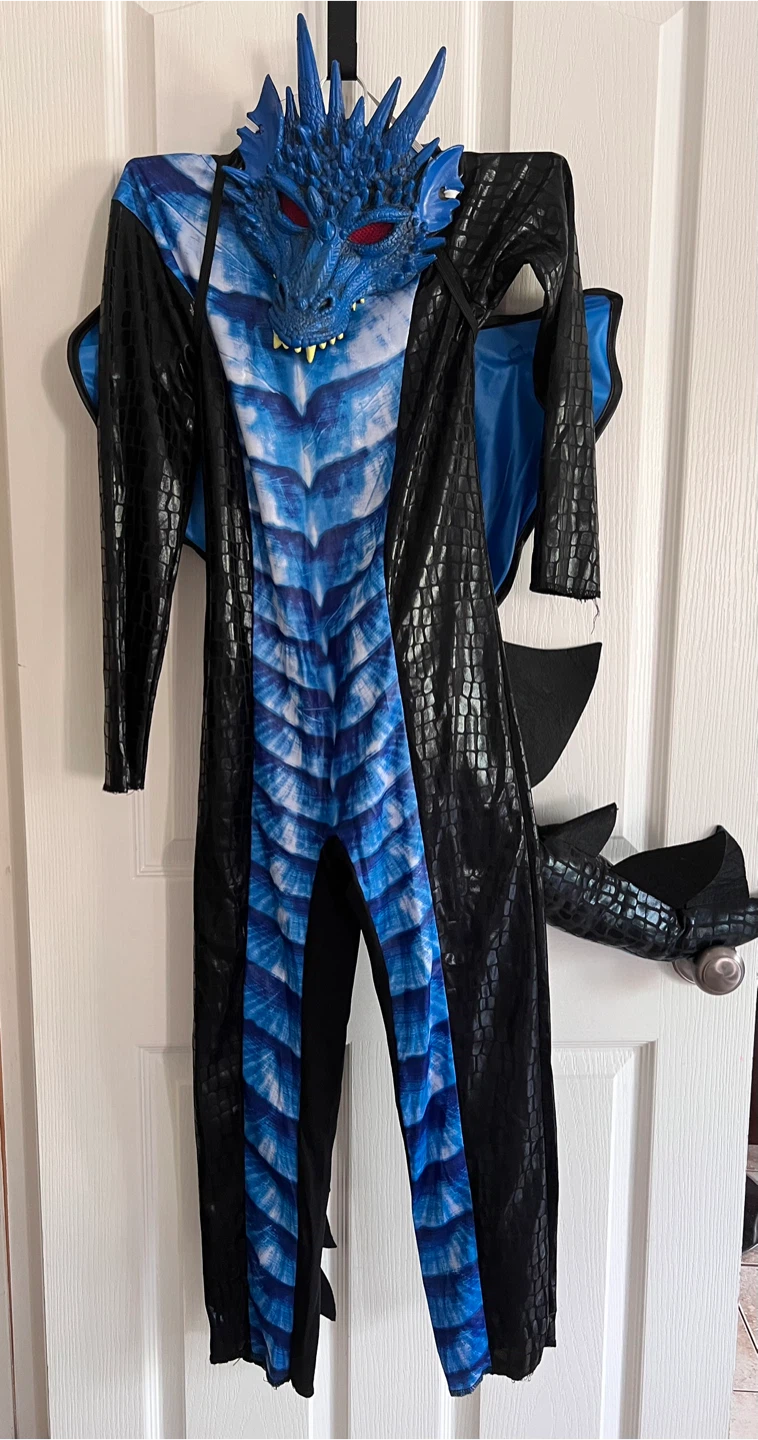 Deadly Dragon Costume kids  Medium 8-10