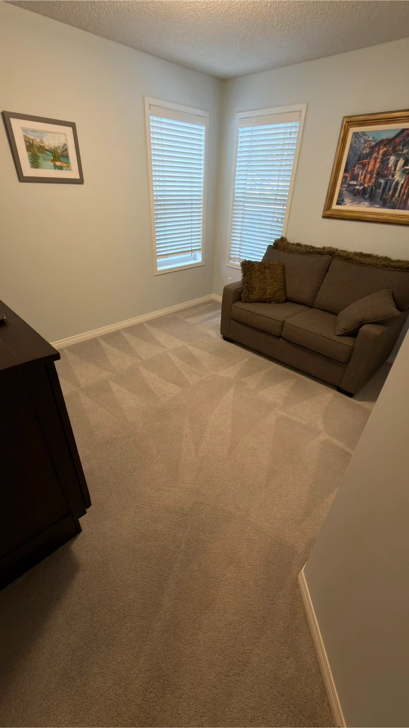 Carpet cleaning