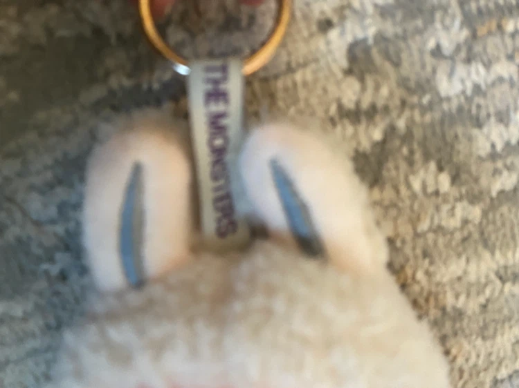 Pop Mart The Monsters Labubu Plush Keyring - photo 2