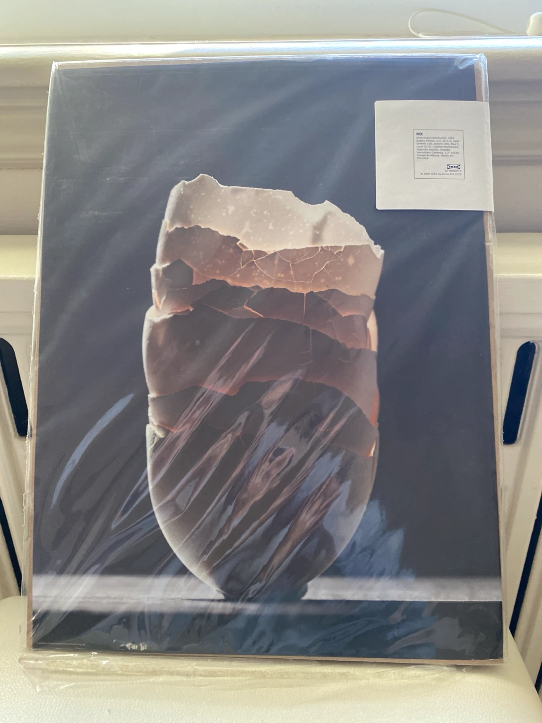 IKEA BILD Picture Prints Set