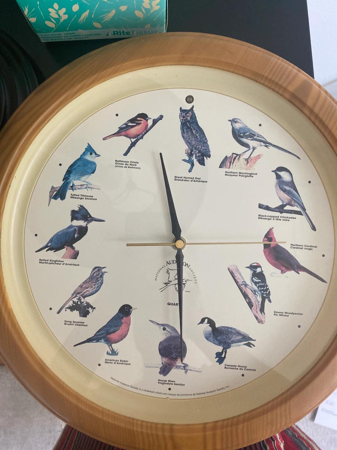 National Audubon Society Singing Bird Wall Clock