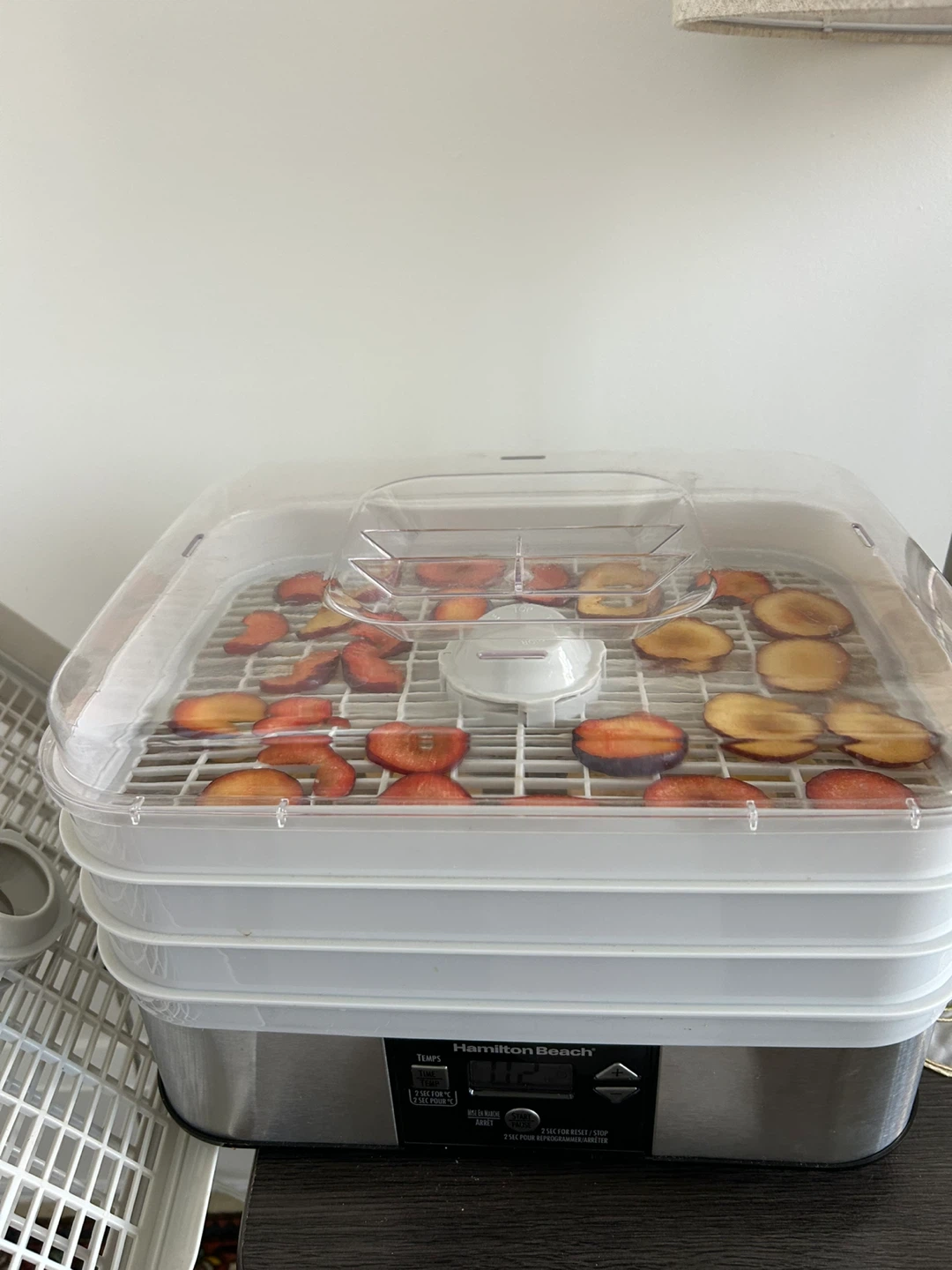 Hamilton Beach 32100C Digital Food Dehydrator