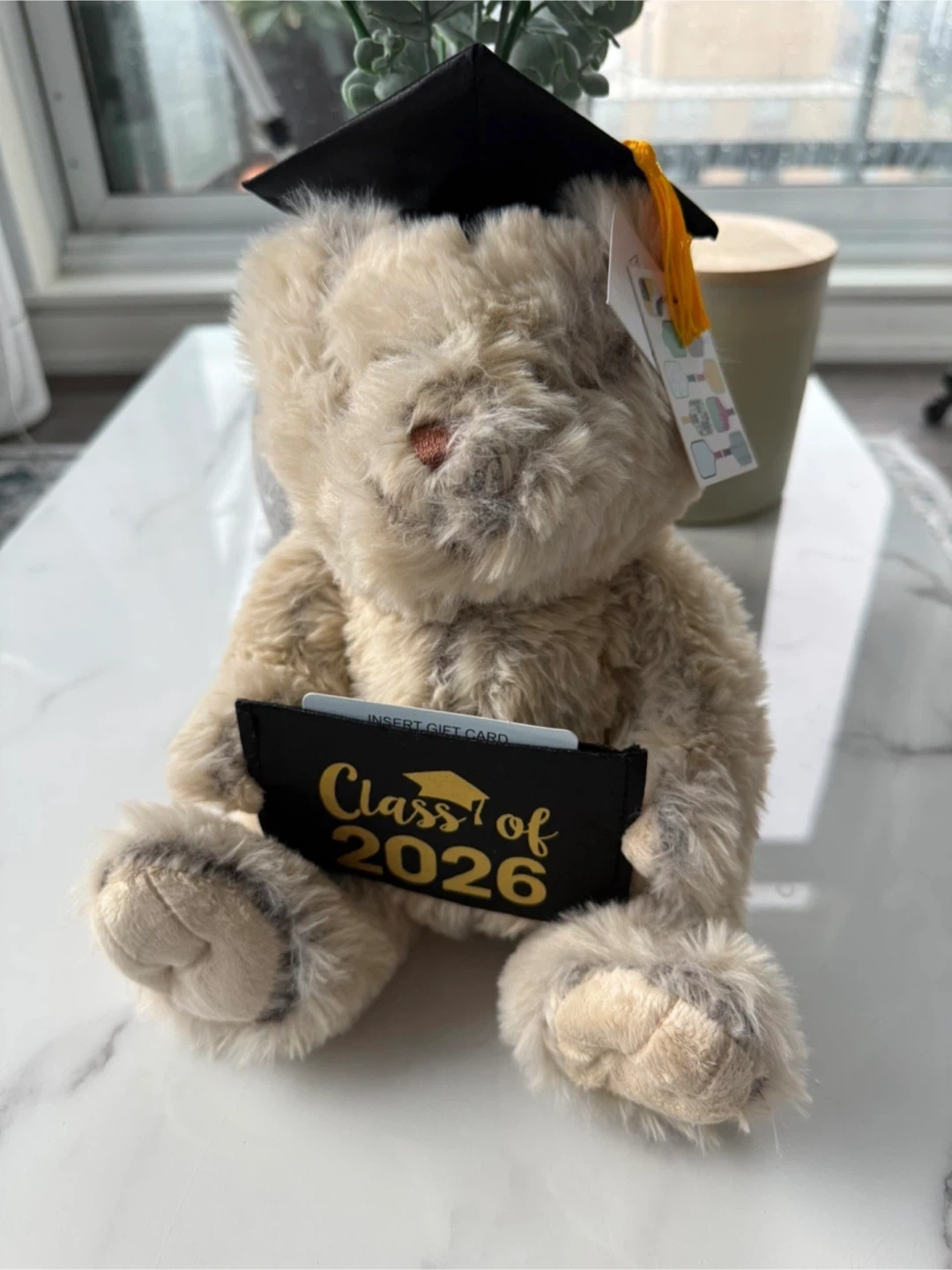 New with tags Graduation Class of 2026 Teddy Bear
