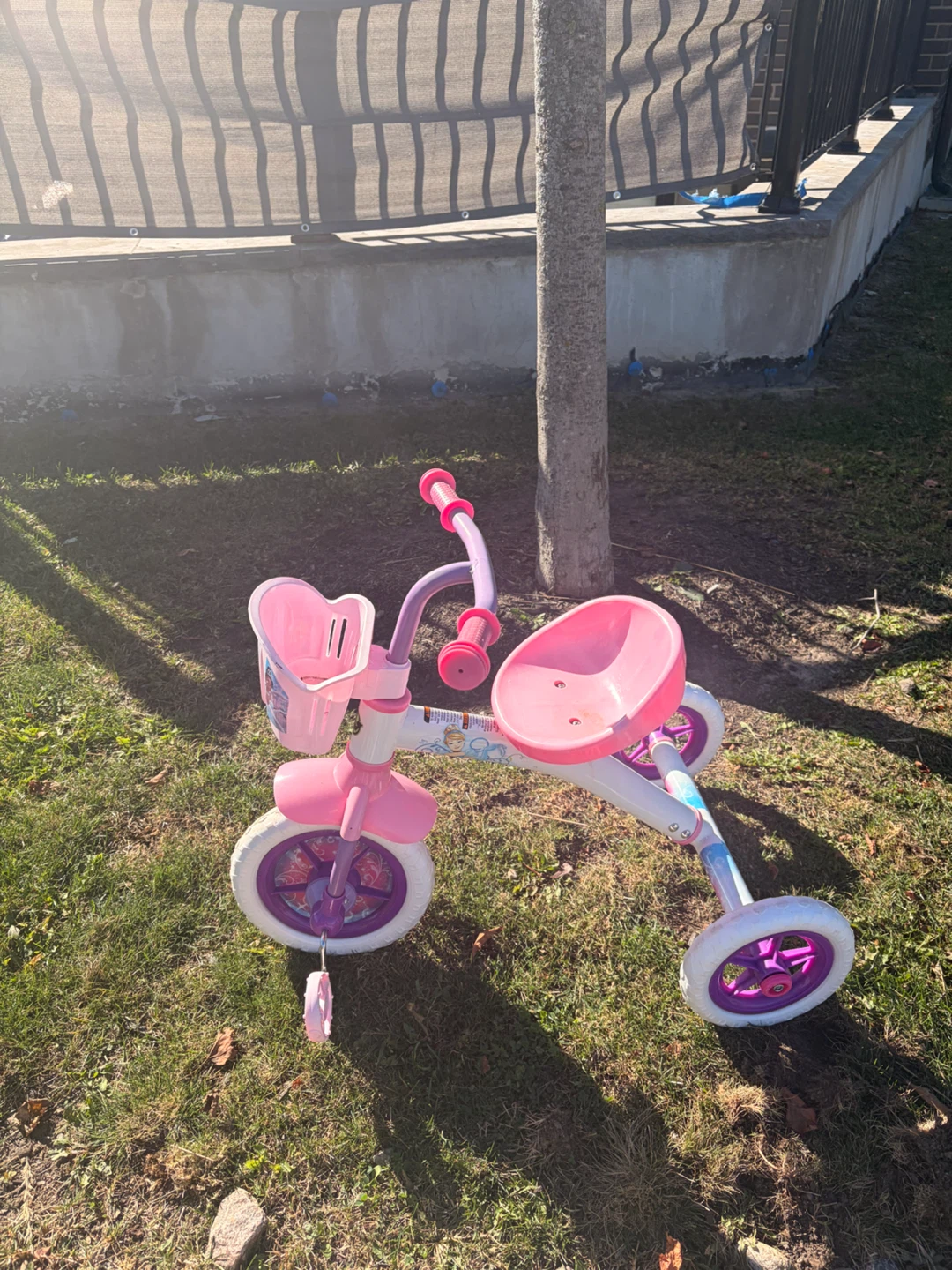 Disney Princess Tricycle
