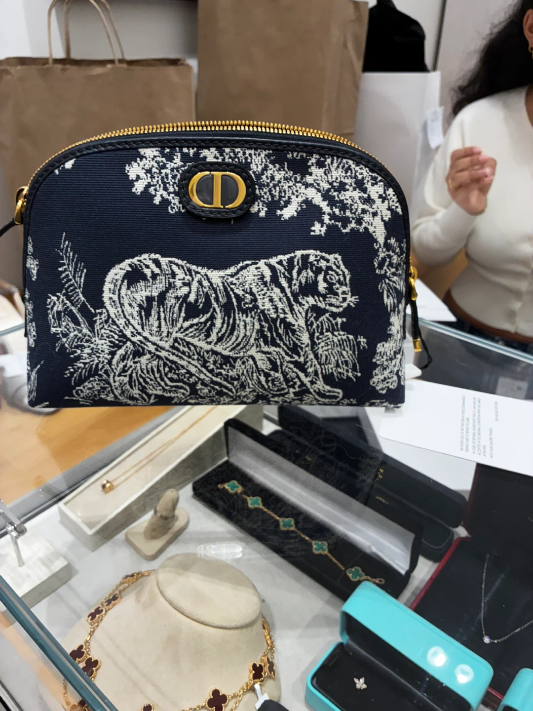Dior Cruise 2022 Tiger Print Pouch