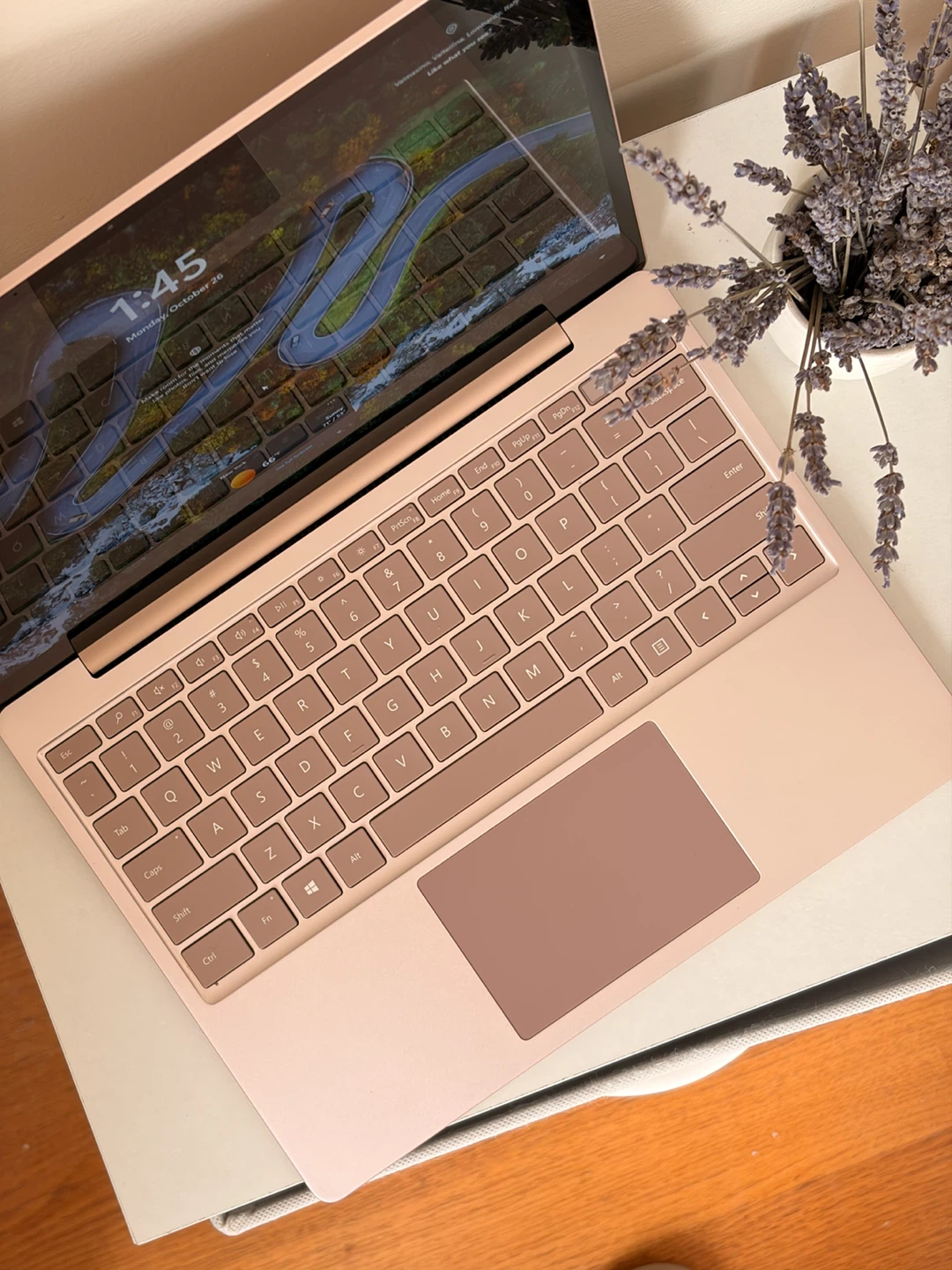 Microsoft Surface Laptop Go Rose Gold  — (i5-10th / 8GB / 256GB) - photo 2