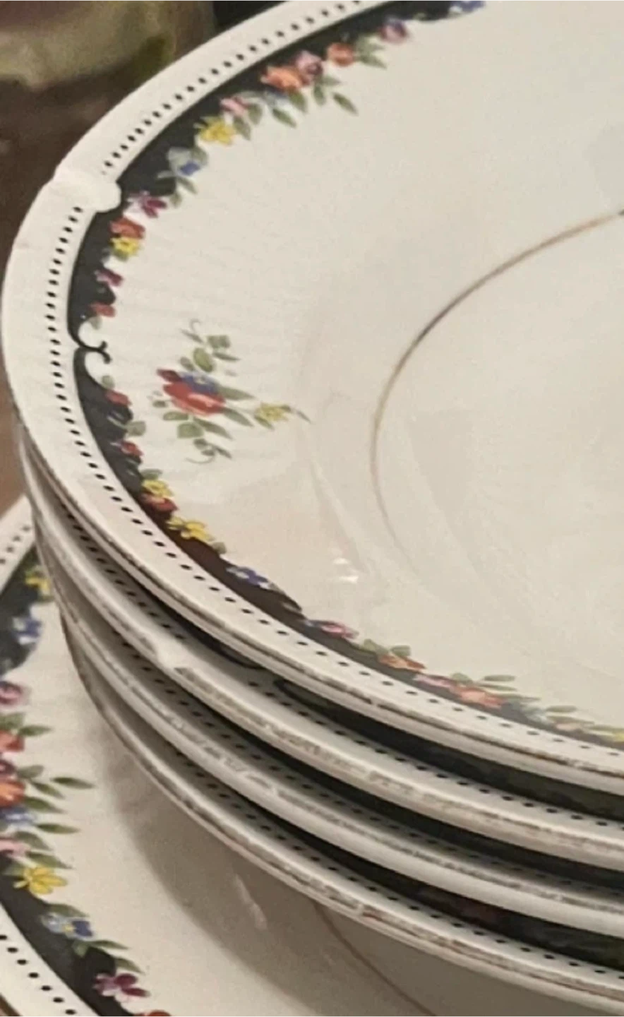 All chipped. Floral Patterned Dinner Plates
