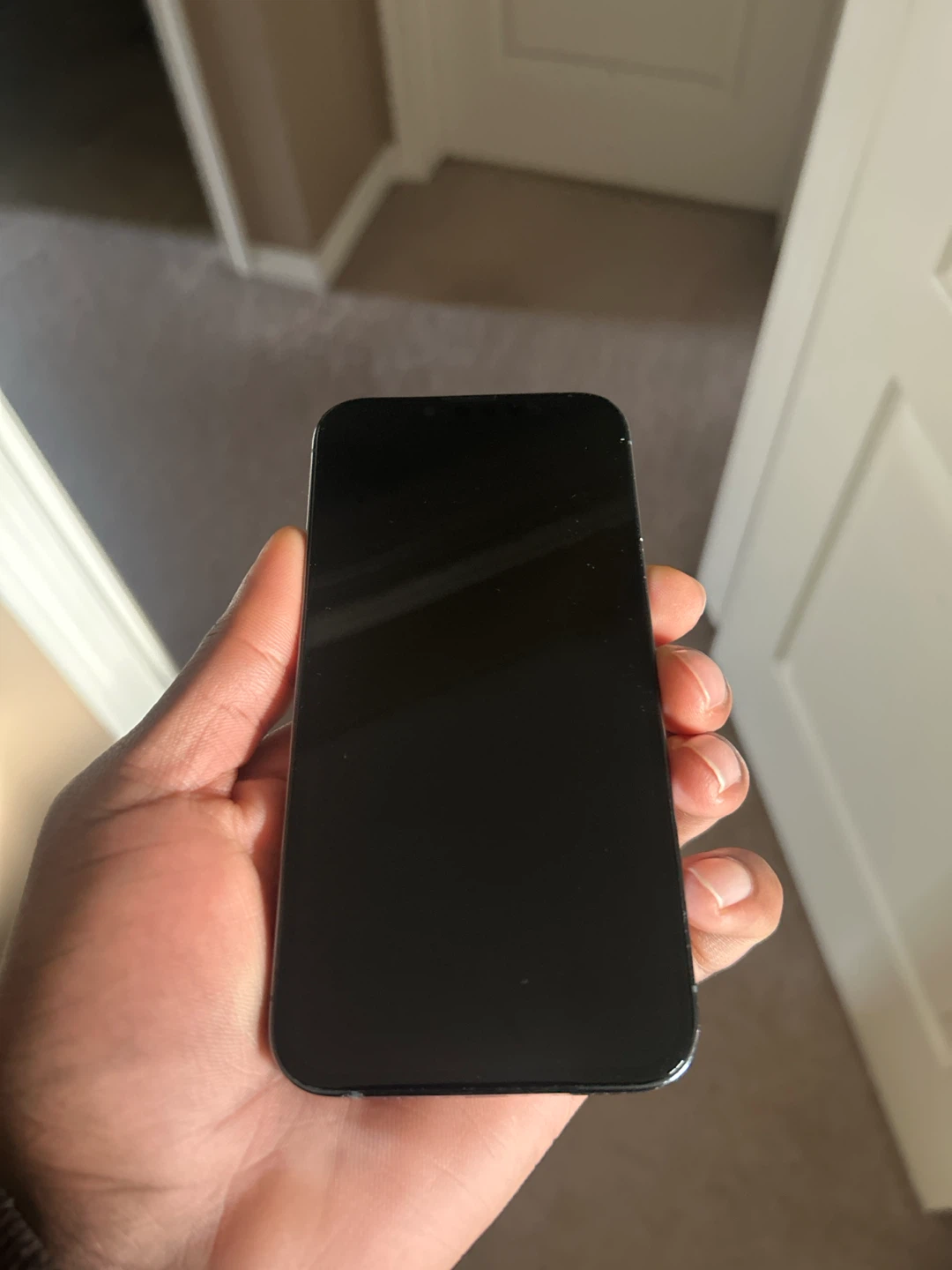 Apple iPhone 13 Pro