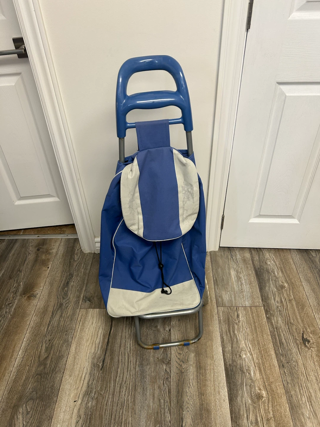 Blue Shopping Trolley