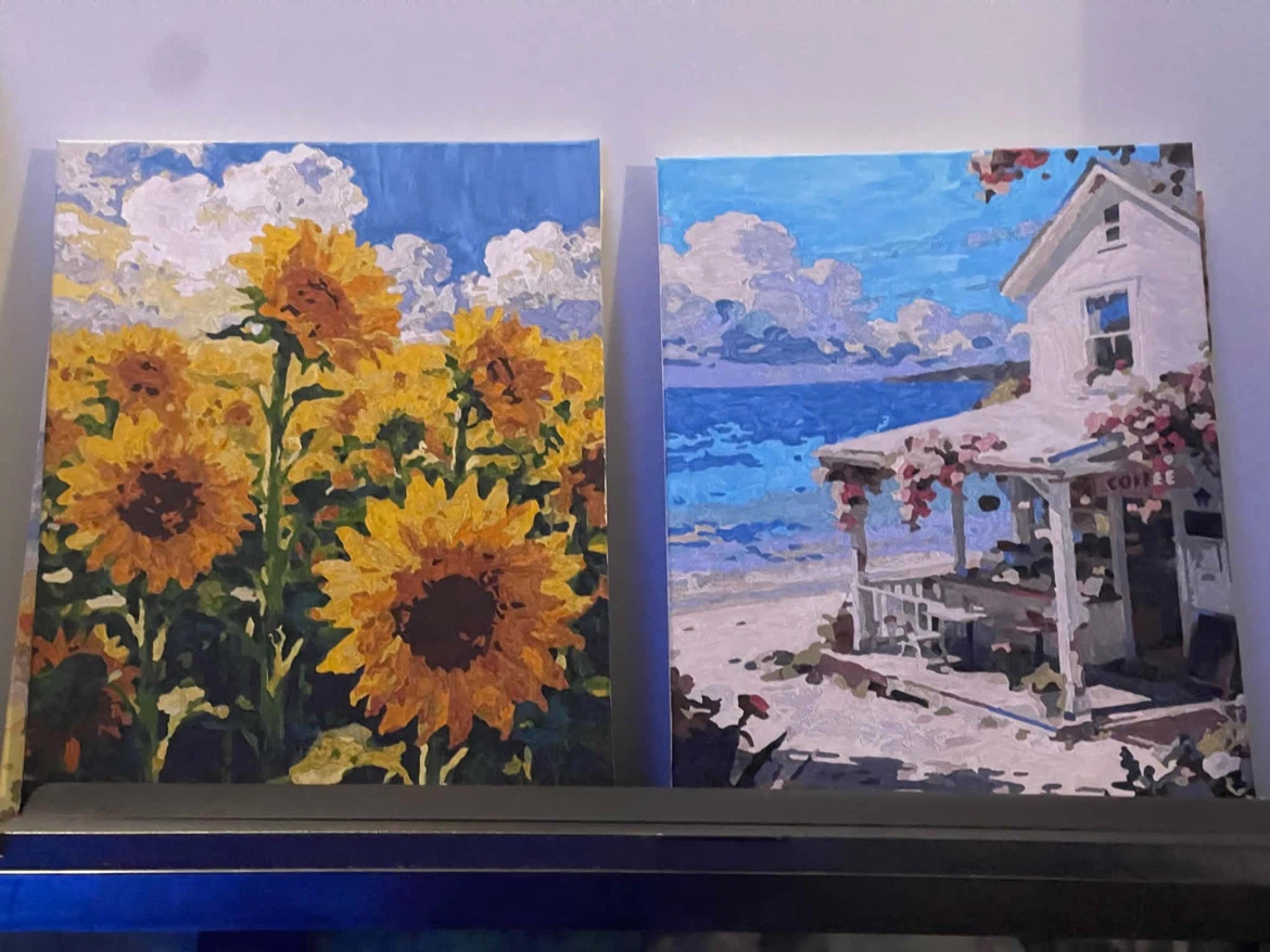Set of 3 Paint-by-Number Canvases