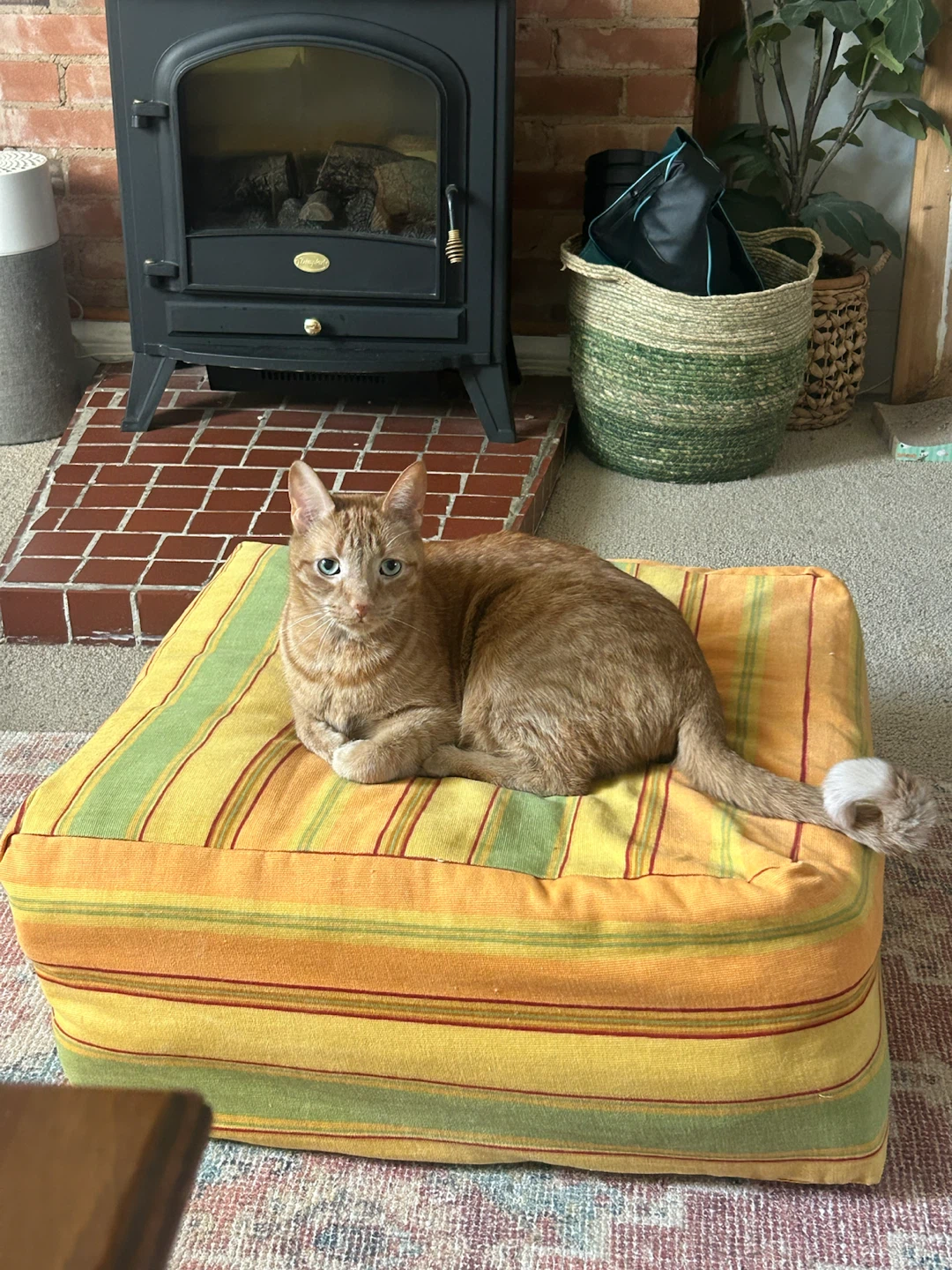 Striped Floor Cushion - photo 3
