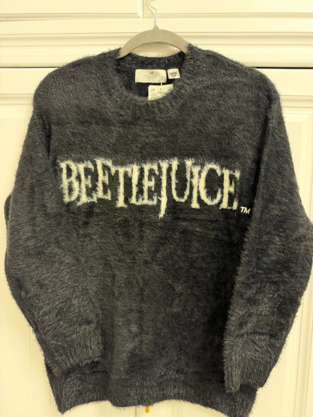 H&M Beetlejuice Fuzzy Sweater