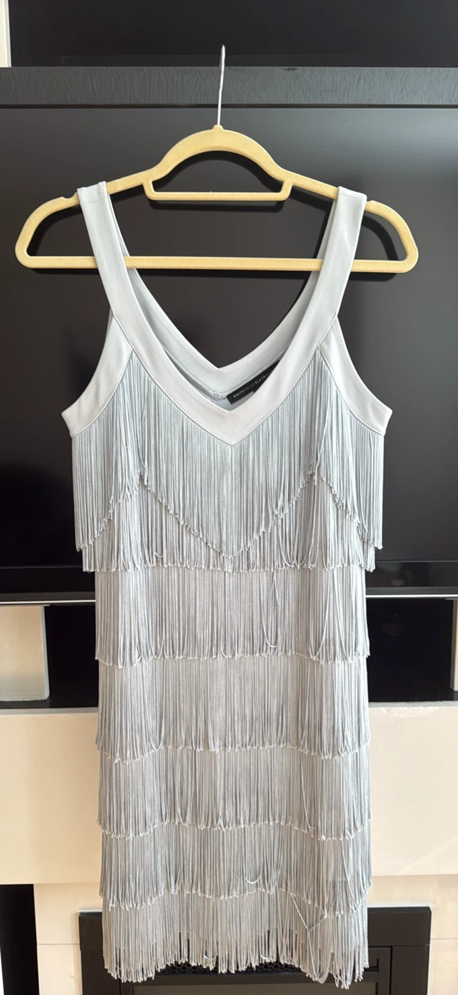 NEW silver fringe dress