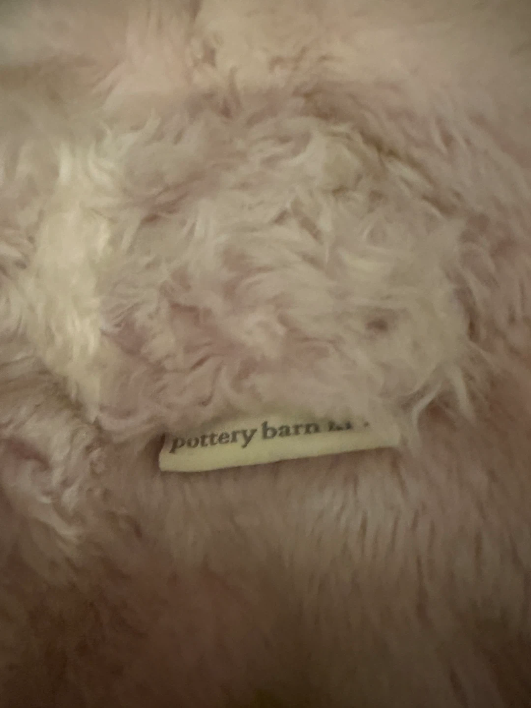 Pottery Barn Kids Bean Bag Chairs - photo 2