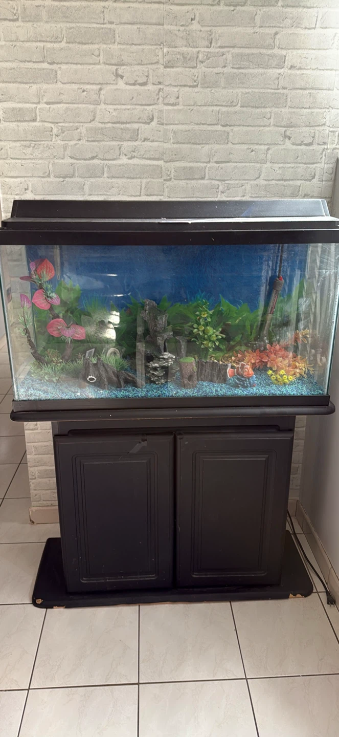Glass Aquarium with Stand and Accessories