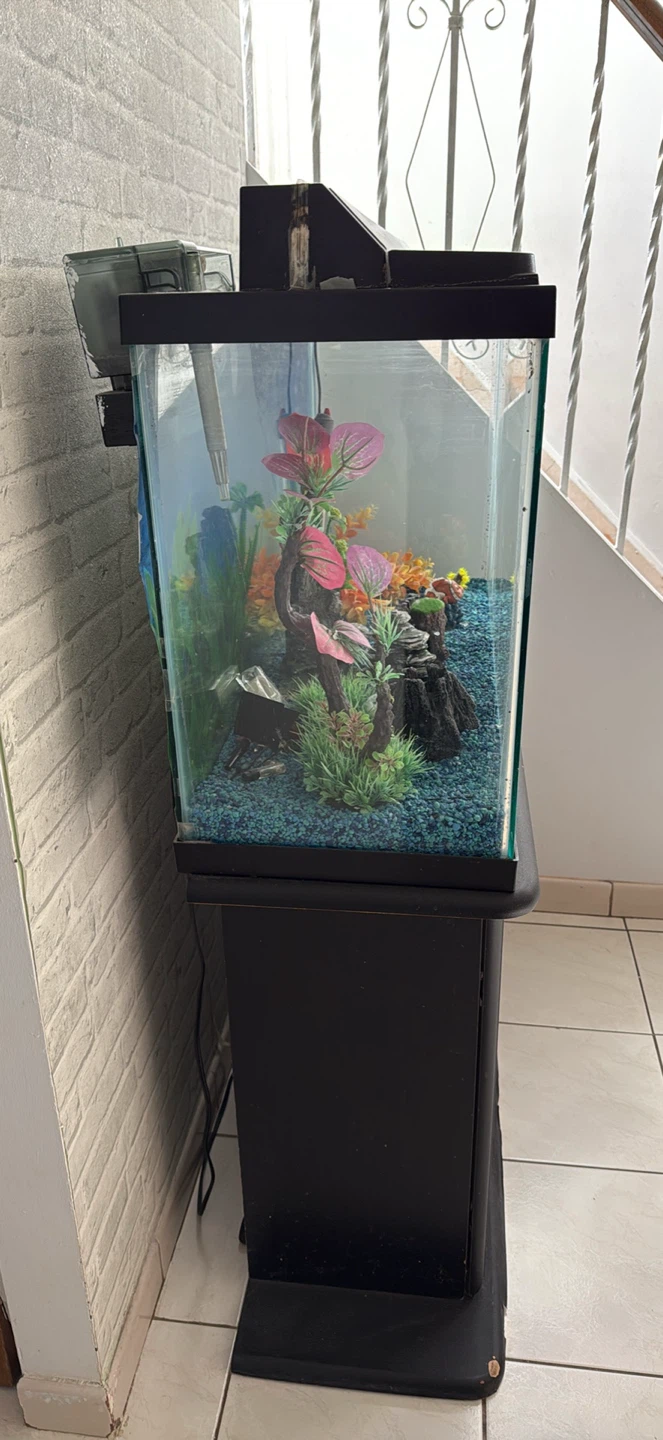 Glass Aquarium with Stand and Accessories - photo 2
