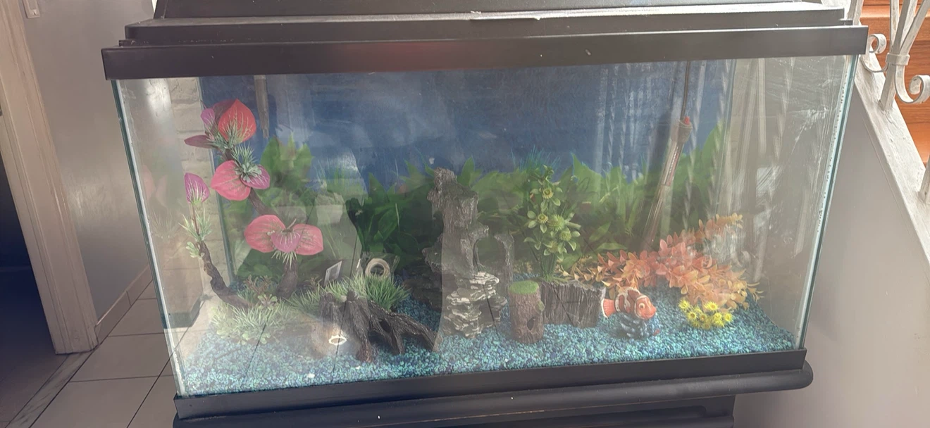 Glass Aquarium with Stand and Accessories - photo 3