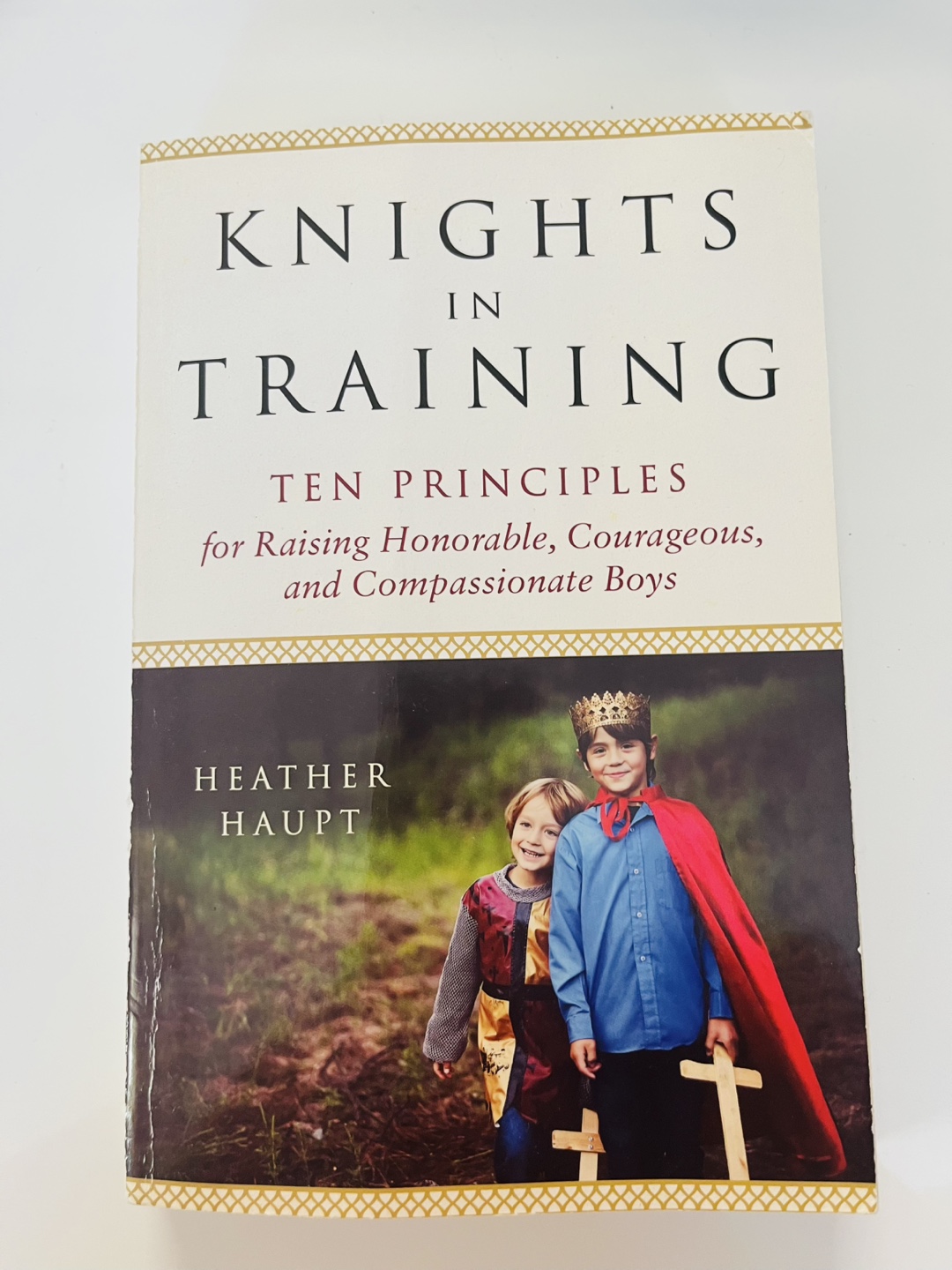 Knights in Training by Heather Haupt