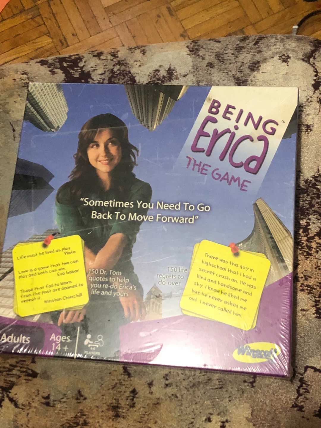 Being Erica The Game