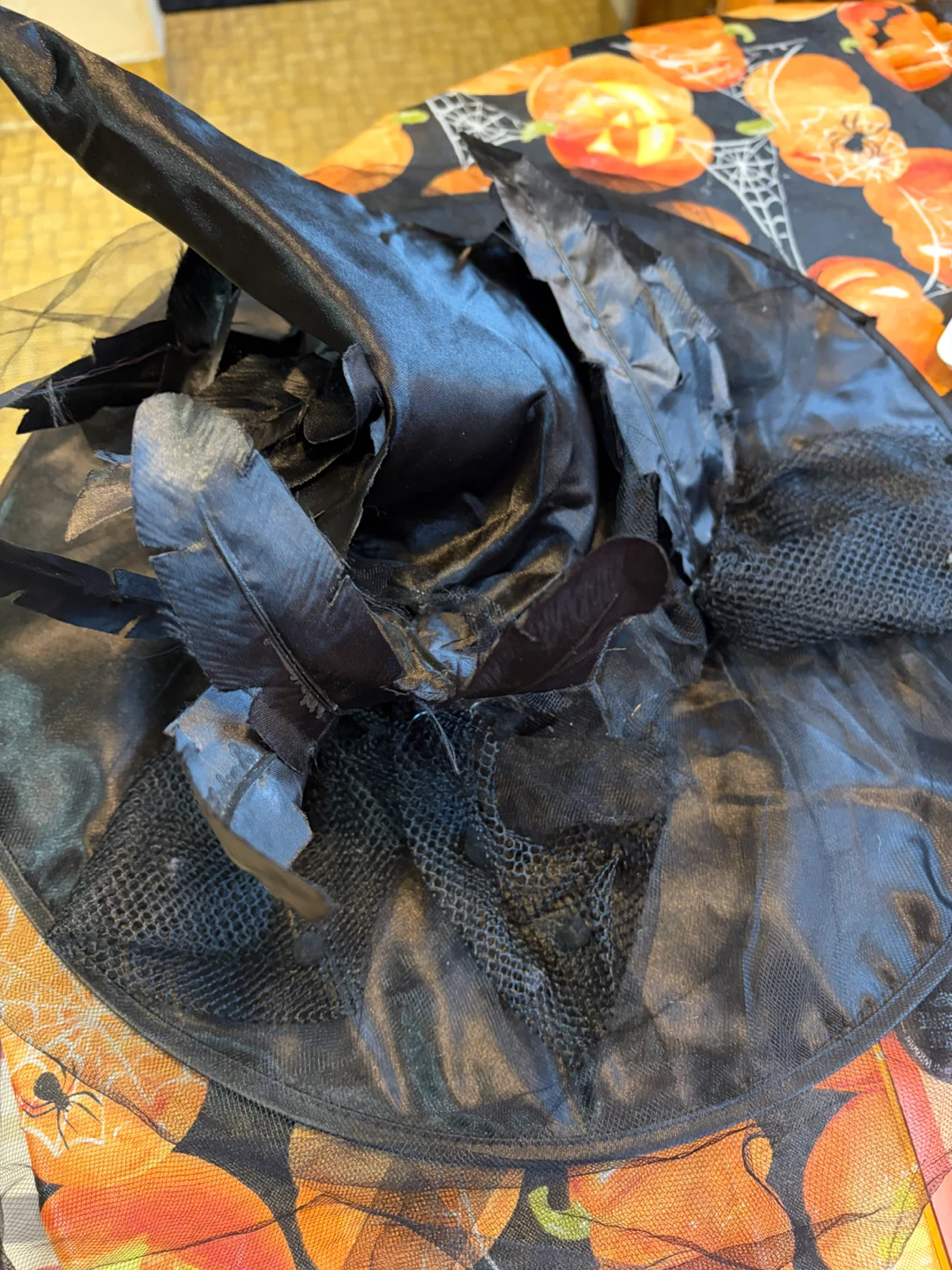 Black Feather and Tulle Witch Hat