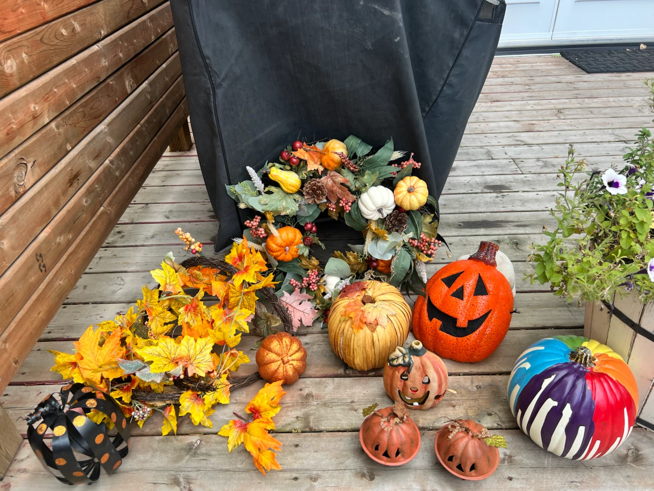 Assorted Autumn and Halloween Decor Bundle