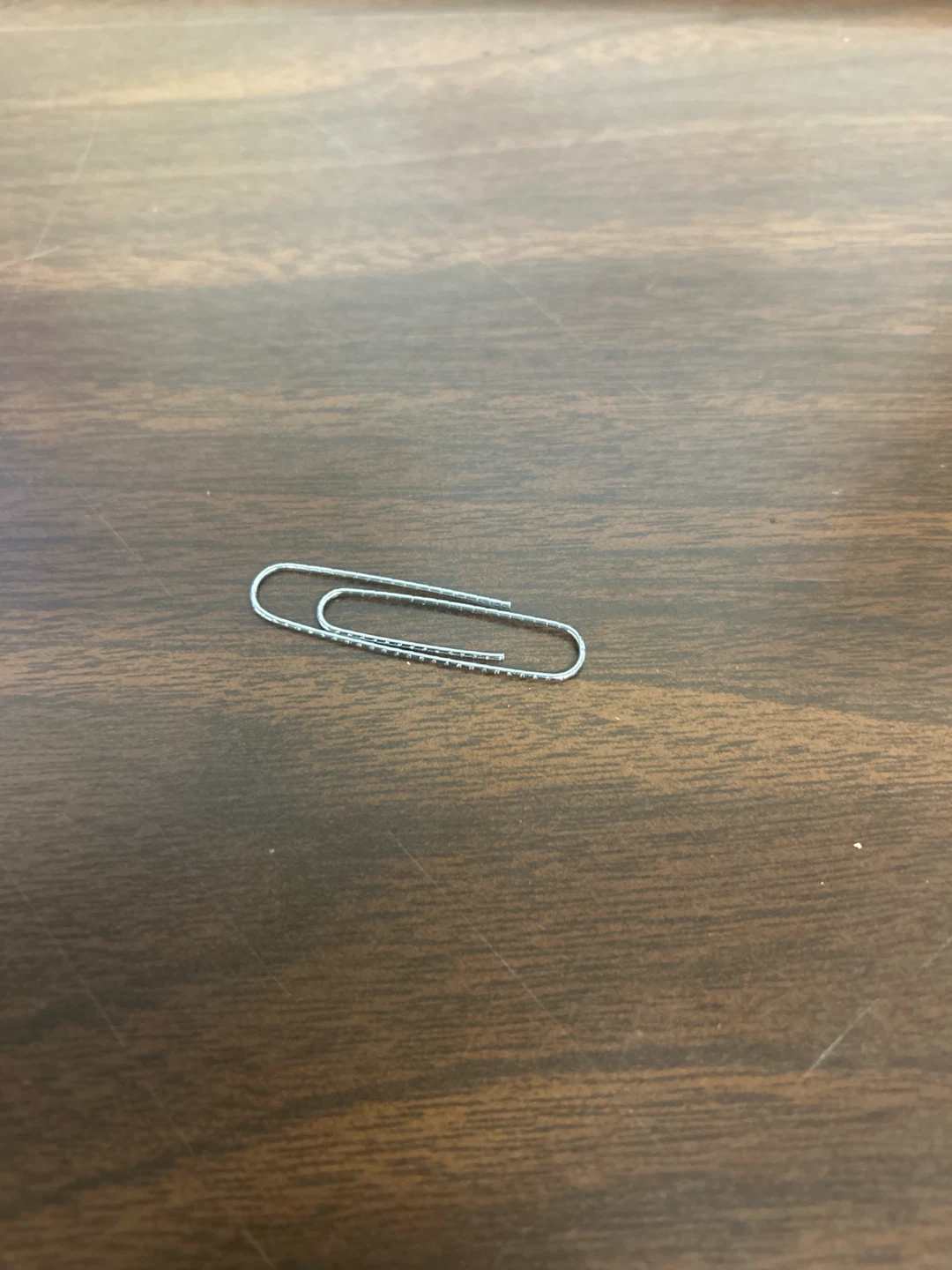 Standard silver paperclip