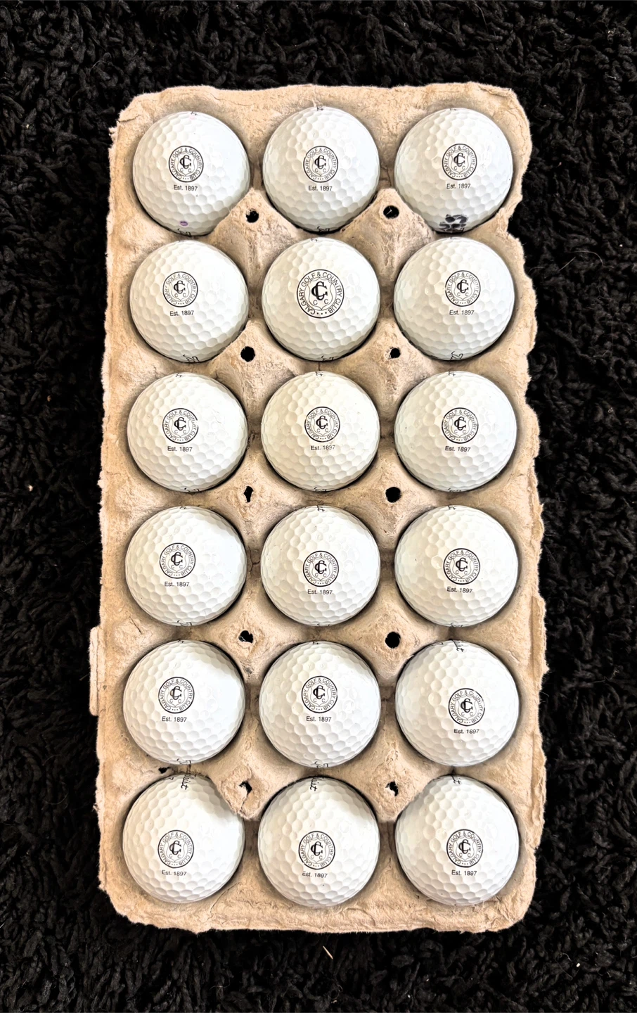 18 Titleist Pro V1 Calgary Golf & Country Club Golf Balls - photo 2