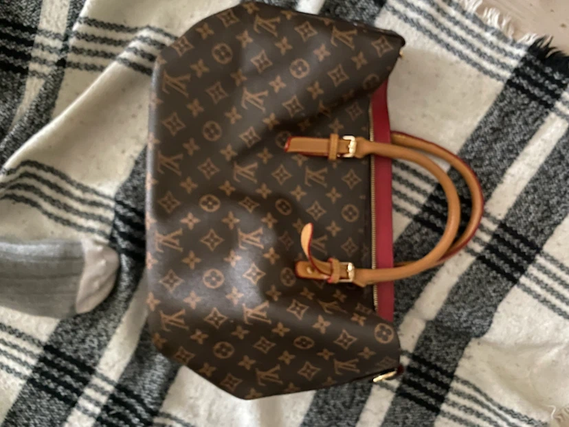 Louis Vuitton Monogram Handbag