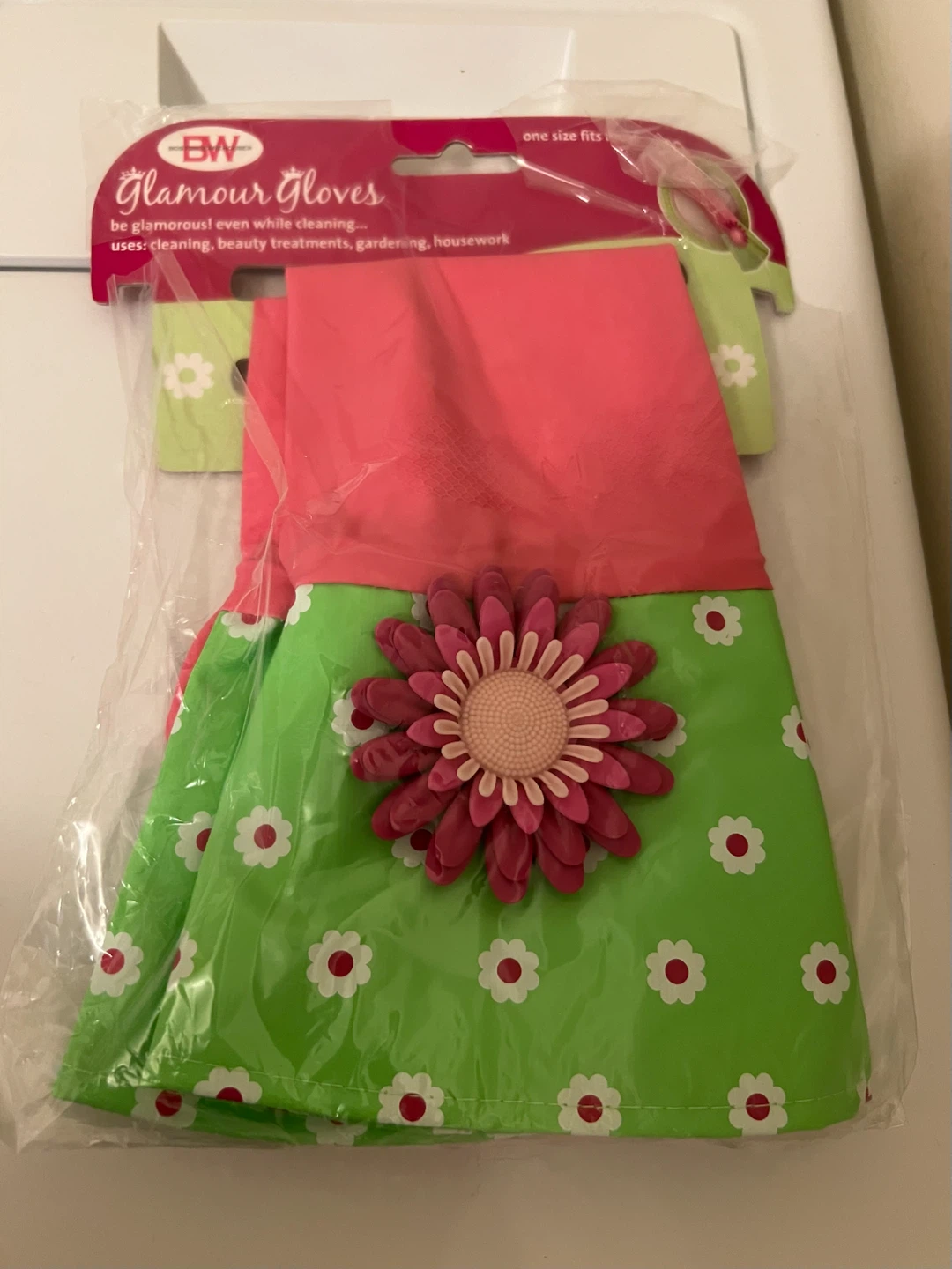 Boston Warehouse Glamour Gloves