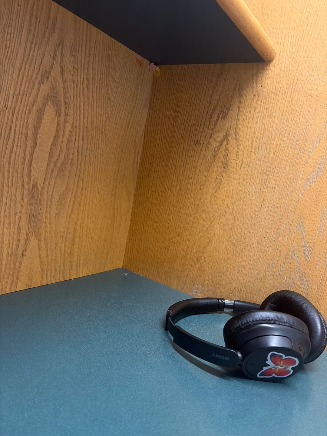 Sony Black Headphones