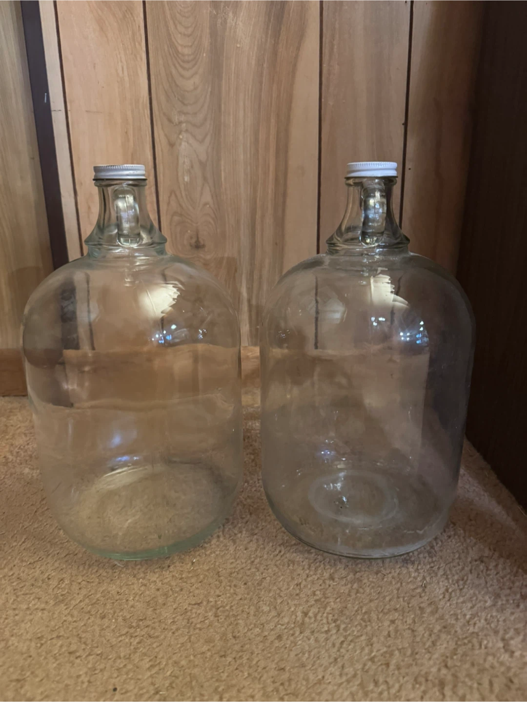 Two 3.79L Glass Jugs