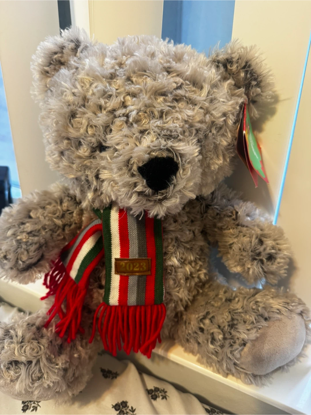 Earthwise 2023 Plush Bear
