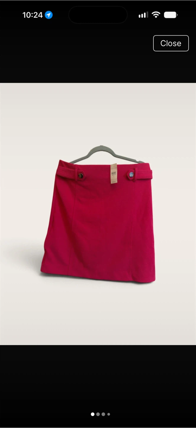 Ann Taylor Pink Skirt Size 12