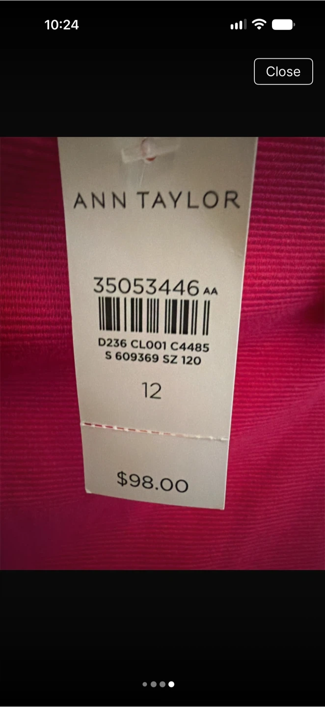 Ann Taylor Pink Skirt Size 12 - photo 3