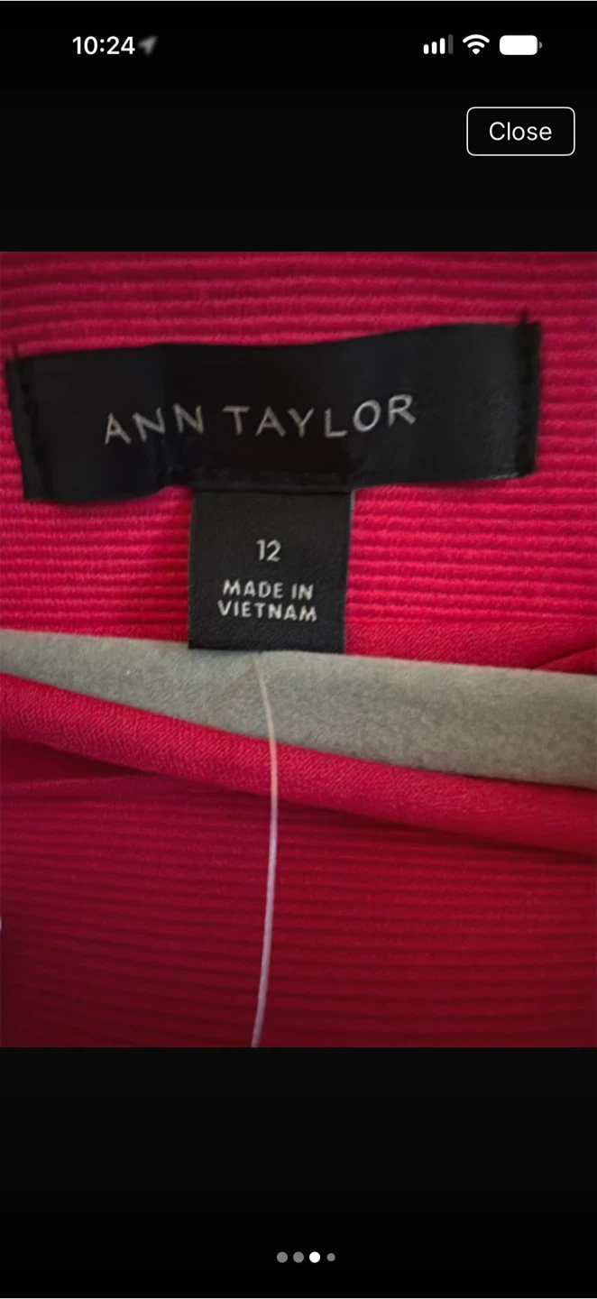 Ann Taylor Pink Skirt Size 12 - photo 4
