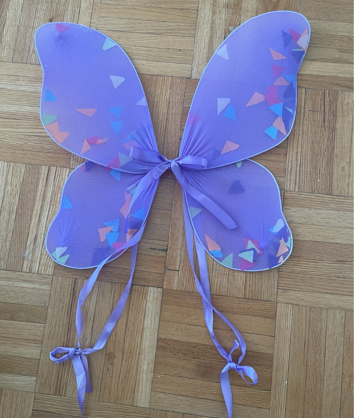 Purple Butterfly Costume Wings