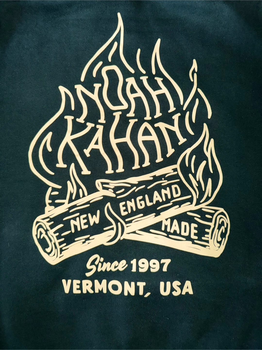 Noah Kahan Stick Season Campfire Hoodie Merch - photo 2