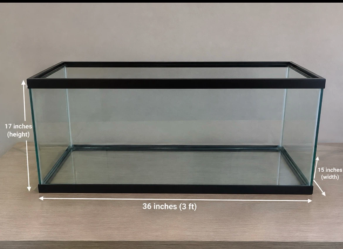 36-inch Glass Aquarium Tank