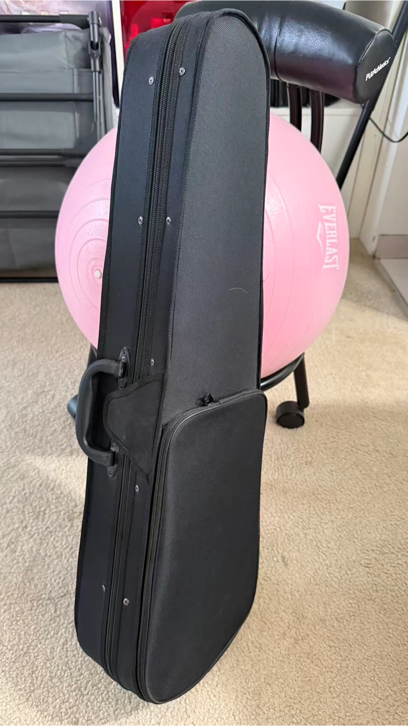 Acoustic Violin with Hard Case - photo 2