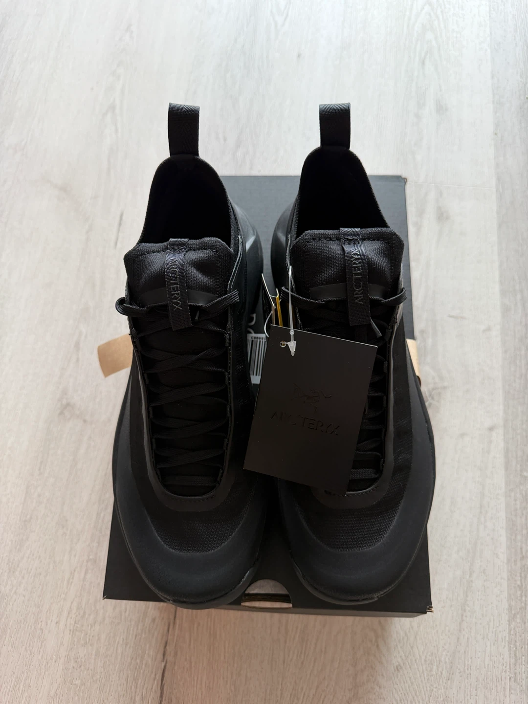 Arc'teryx Vertex Alpine GTX W Shoes