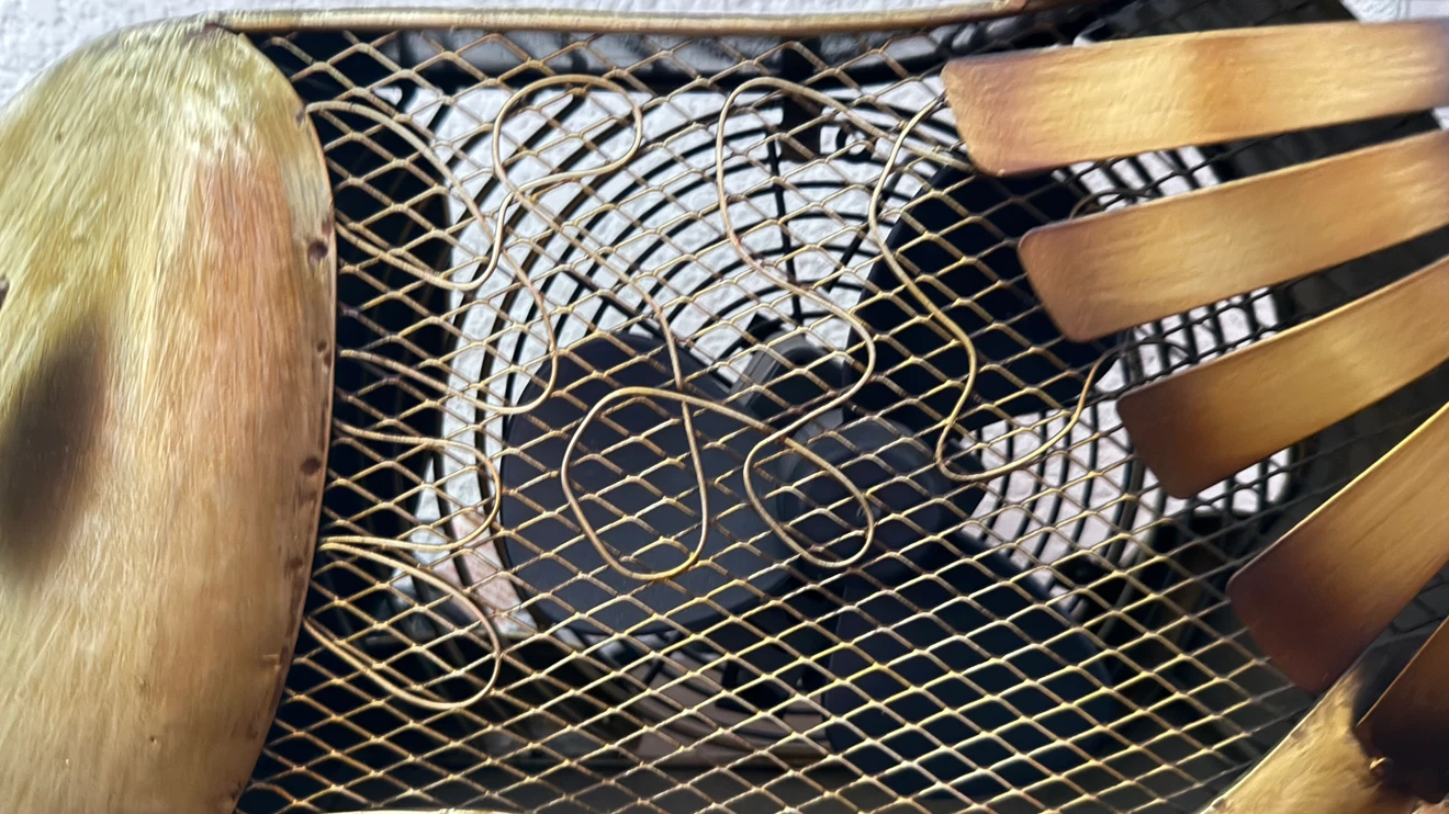 Gold Lion Decorative Metal Fan - photo 2