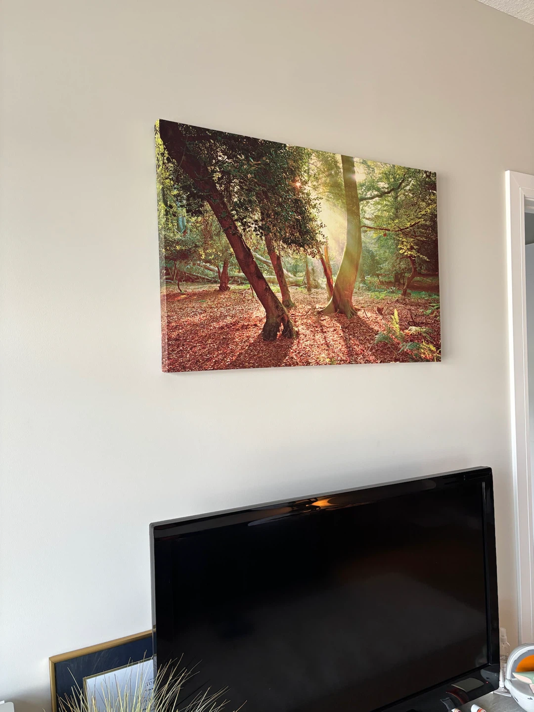 Forest Sunlight Wall Canvas - photo 3