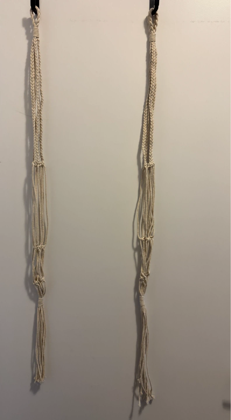 Plant Hangers (Set of 2)